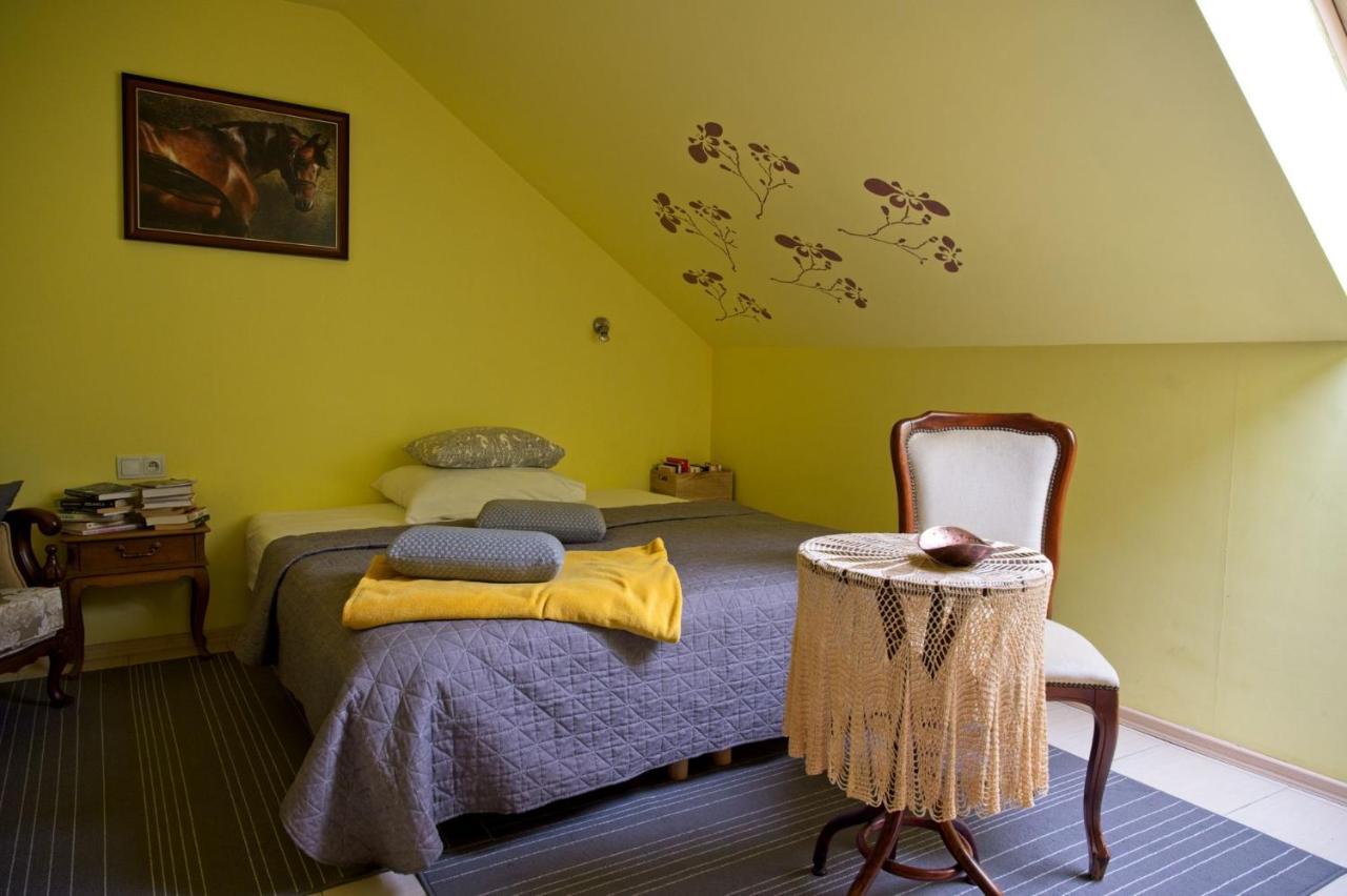 קילצה Medison Family Boutique B&B מראה חיצוני תמונה